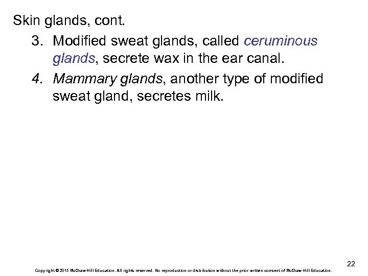 Skin glands, cont. 3. Modified sweat glands, called ceruminous glands, secrete wax in the