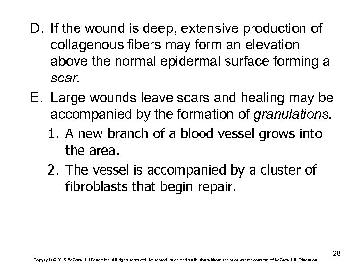 D. If the wound is deep, extensive production of collagenous fibers may form an