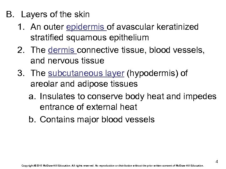 B. Layers of the skin 1. An outer epidermis of avascular keratinized stratified squamous