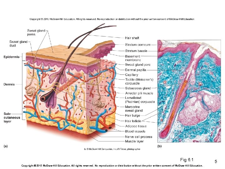 Fig 6. 1 Copyright © 2015 Mc. Graw-Hill Education. All rights reserved. No reproduction