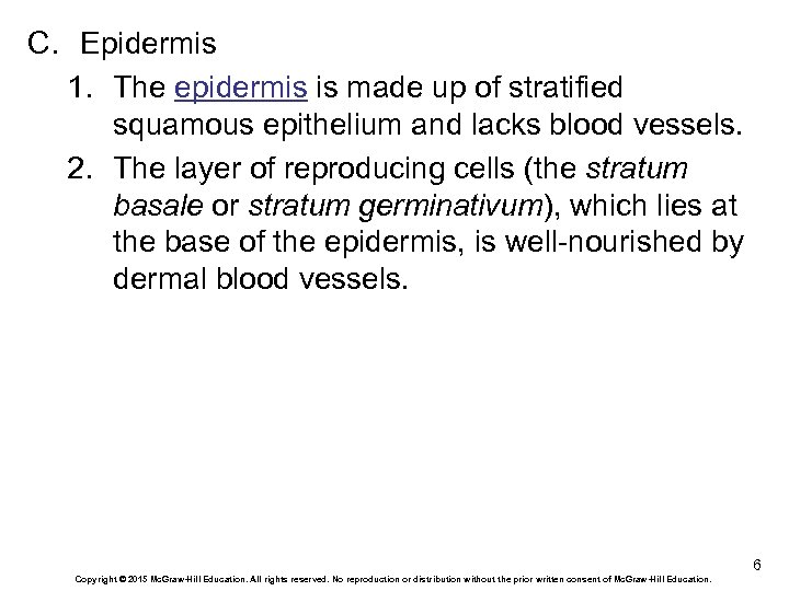 C. Epidermis 1. The epidermis is made up of stratified squamous epithelium and lacks