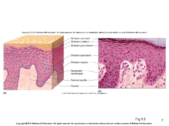 Fig 6. 2 Copyright © 2015 Mc. Graw-Hill Education. All rights reserved. No reproduction