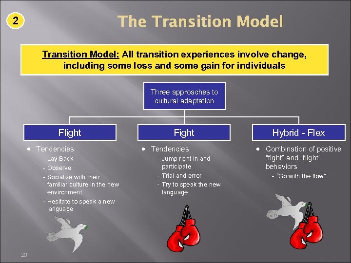 The Transition Model 2 Transition Model: All transition experiences involve change, including some loss
