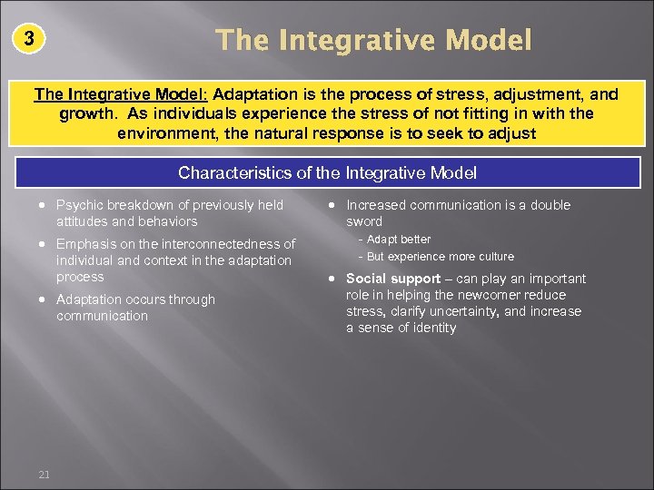 The Integrative Model 3 The Integrative Model: Adaptation is the process of stress, adjustment,