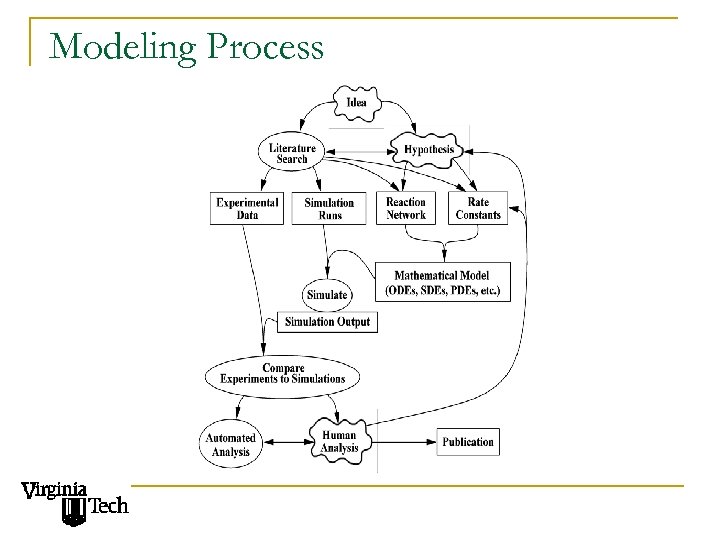 Modeling Process 