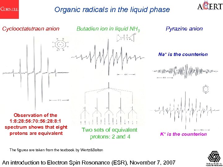 Organic radicals in the liquid phase Cyclooctatetraen anion Butadien ion in liquid NH 3