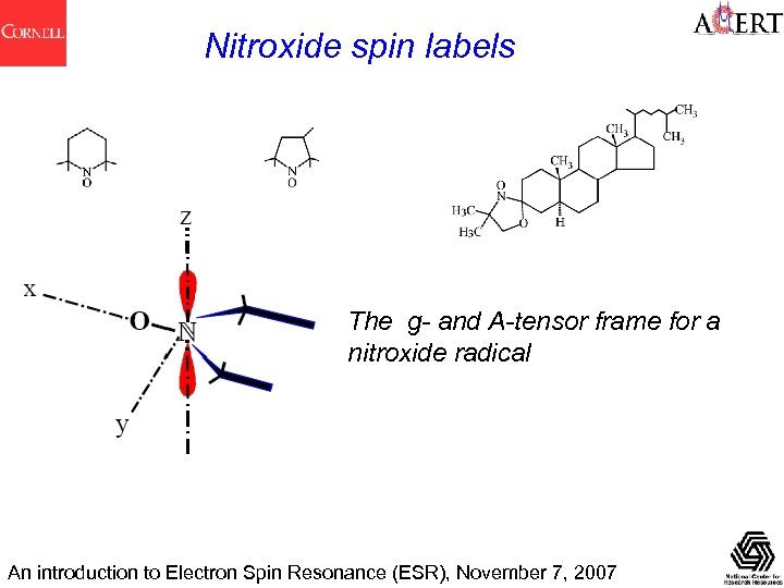 Nitroxide spin labels The g- and A-tensor frame for a nitroxide radical An introduction