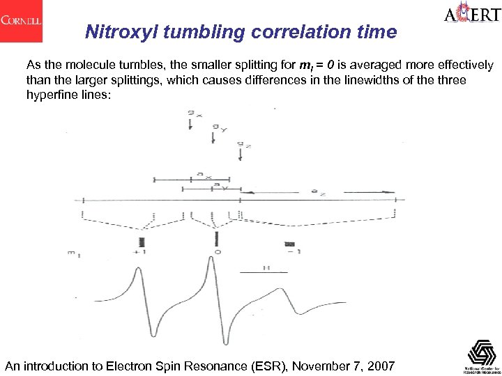 Nitroxyl tumbling correlation time As the molecule tumbles, the smaller splitting for m. I