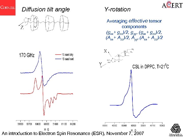 Diffusion tilt angle Y-rotation Averaging effective tensor components (gxx+ gzz)/2, gyy, (gxx+ gzz)/2, (Axx+