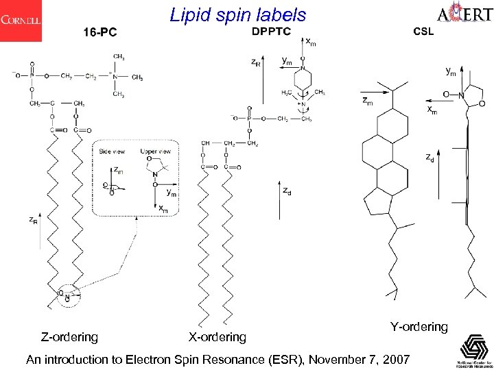 Lipid spin labels Z-ordering X-ordering Y-ordering An introduction to Electron Spin Resonance (ESR), November