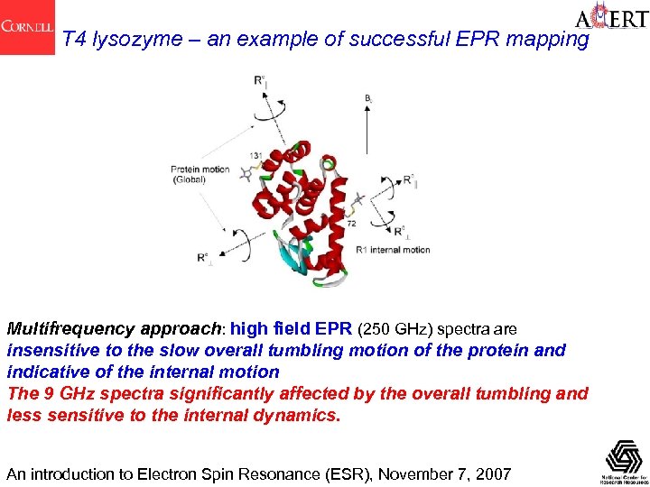 T 4 lysozyme – an example of successful EPR mapping Multifrequency approach: high field