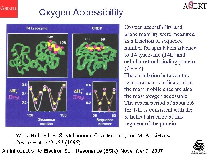 Oxygen Accessibility Oxygen accessibility and probe mobility were measured as a function of sequence