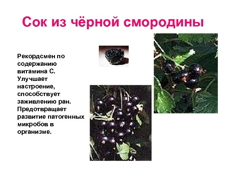 Сок из чёрной смородины Рекордсмен по содержанию витамина С. Улучшает настроение, способствует заживлению ран.