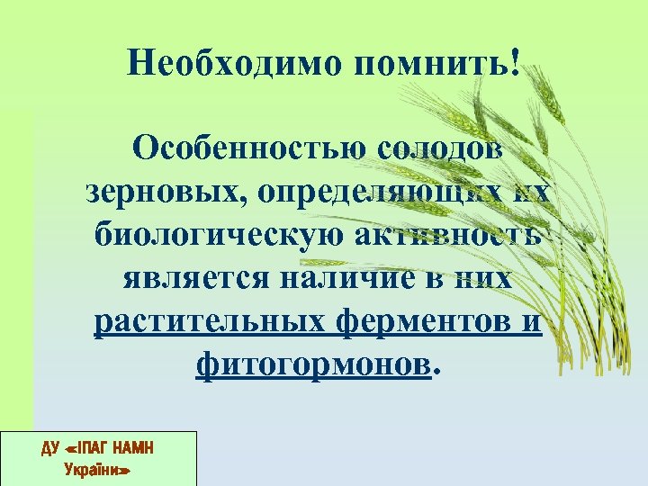 Необходимо помнить! Особенностью солодов зерновых, определяющих их биологическую активность является наличие в них растительных