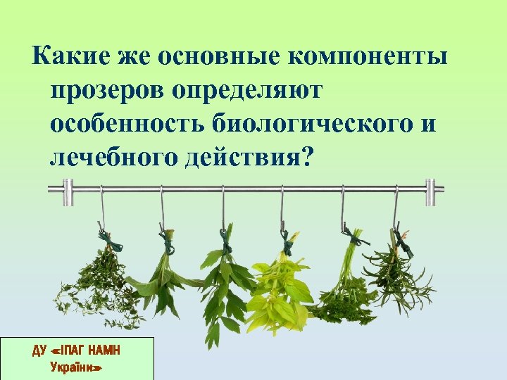 Какие же основные компоненты прозеров определяют особенность биологического и лечебного действия? ДУ «ІПАГ НАМН