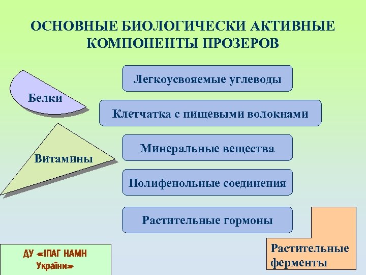 ОСНОВНЫЕ БИОЛОГИЧЕСКИ АКТИВНЫЕ КОМПОНЕНТЫ ПРОЗЕРОВ Легкоусвояемые углеводы Белки Клетчатка с пищевыми волокнами Витамины Минеральные