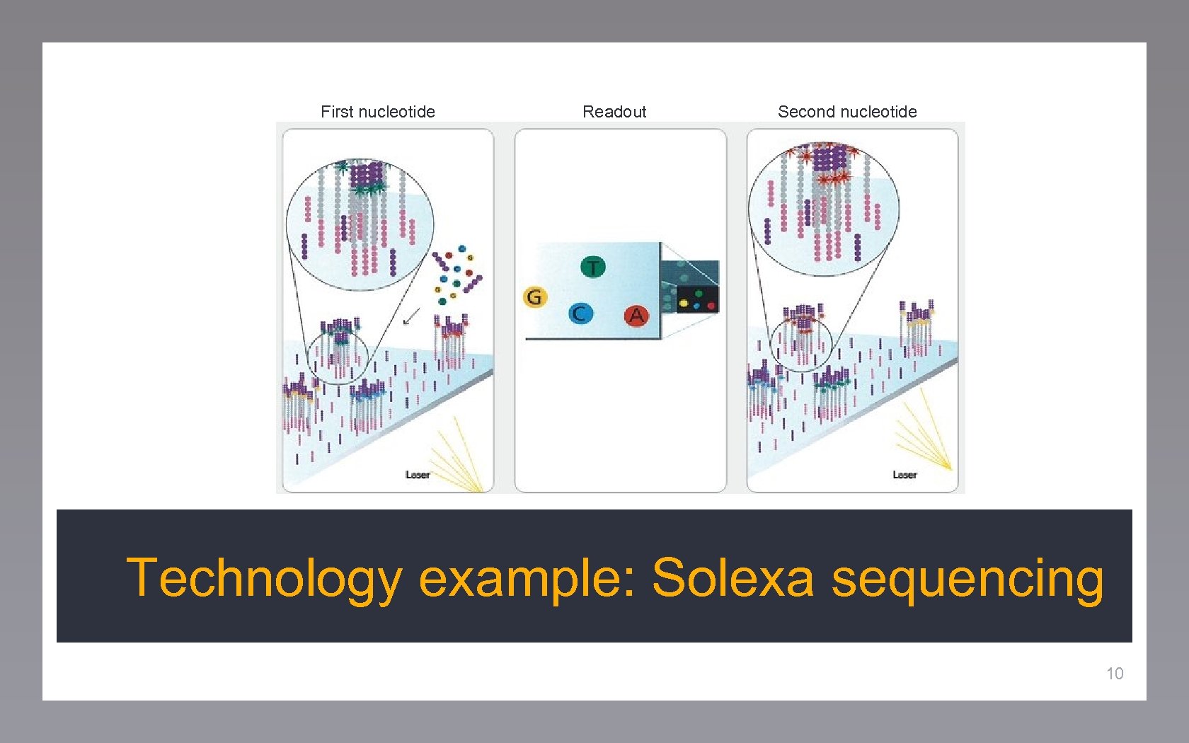 First nucleotide Readout Second nucleotide Technology example: Solexa sequencing 10 