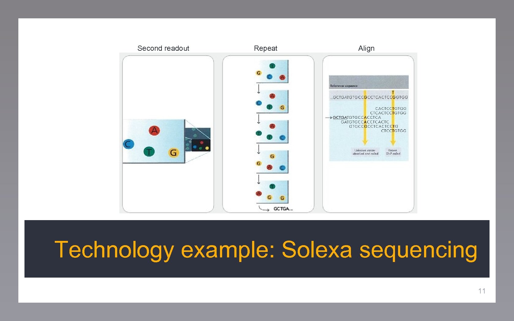 Second readout Repeat Align Technology example: Solexa sequencing 11 