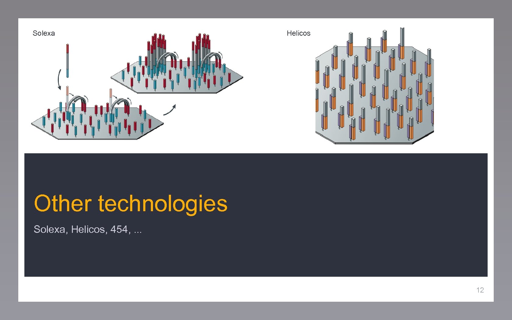 Solexa Helicos Other technologies Solexa, Helicos, 454, . . . 12 
