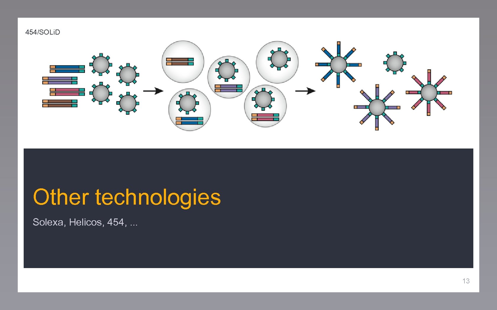 454/SOLi. D Other technologies Solexa, Helicos, 454, . . . 13 