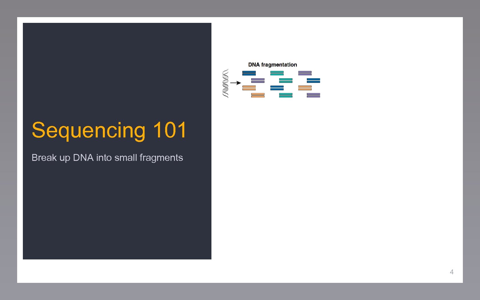 Sequencing 101 Break up DNA into small fragments 4 