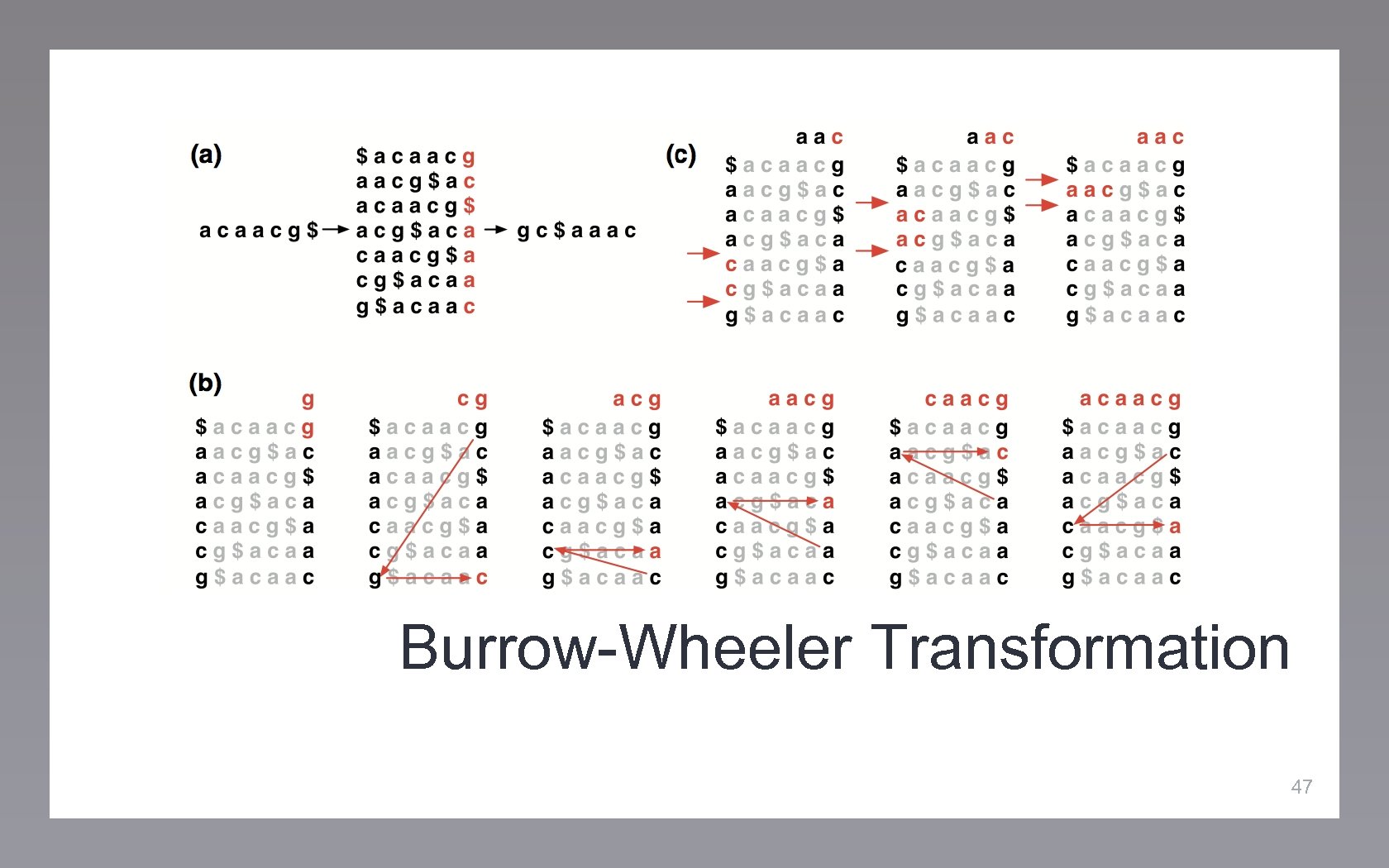 Burrow-Wheeler Transformation 47 