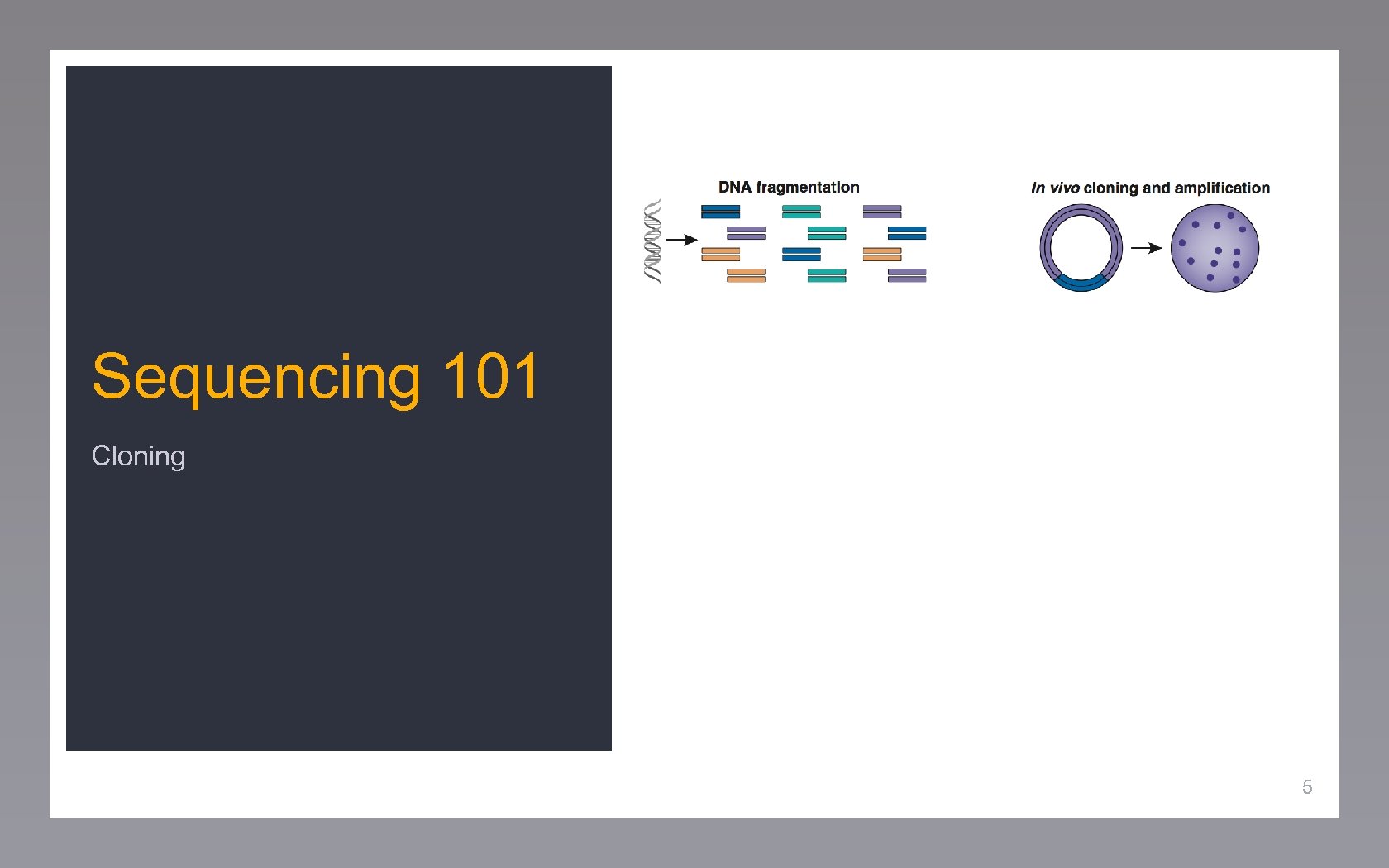 Sequencing 101 Cloning 5 