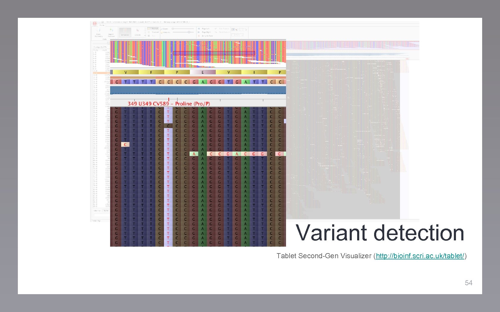 Variant detection Tablet Second-Gen Visualizer (http: //bioinf. scri. ac. uk/tablet/) 54 