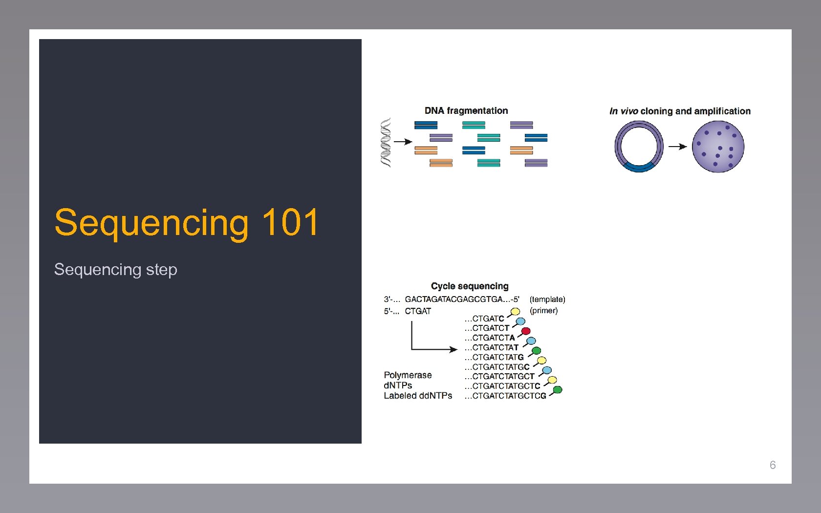 Sequencing 101 Sequencing step 6 