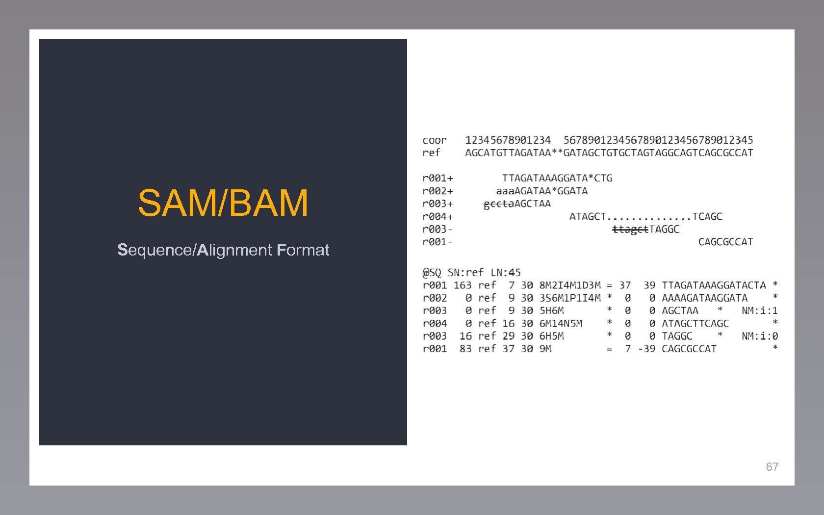 SAM/BAM Sequence/Alignment Format 67 