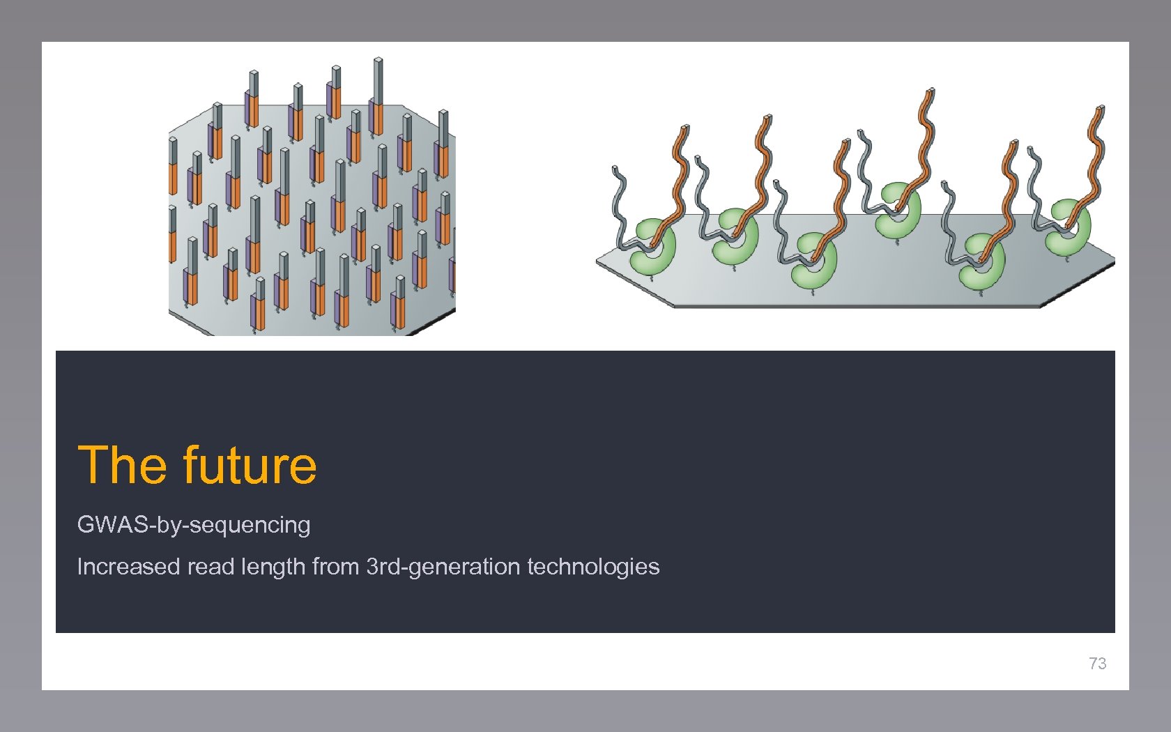 The future GWAS-by-sequencing Increased read length from 3 rd-generation technologies 73 