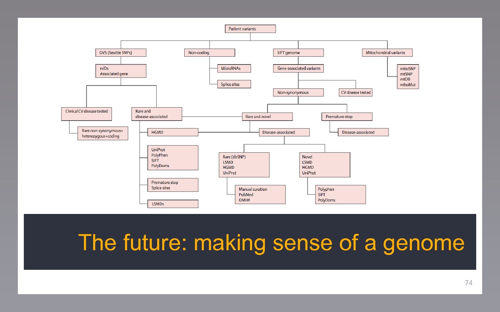 The future: making sense of a genome 74 