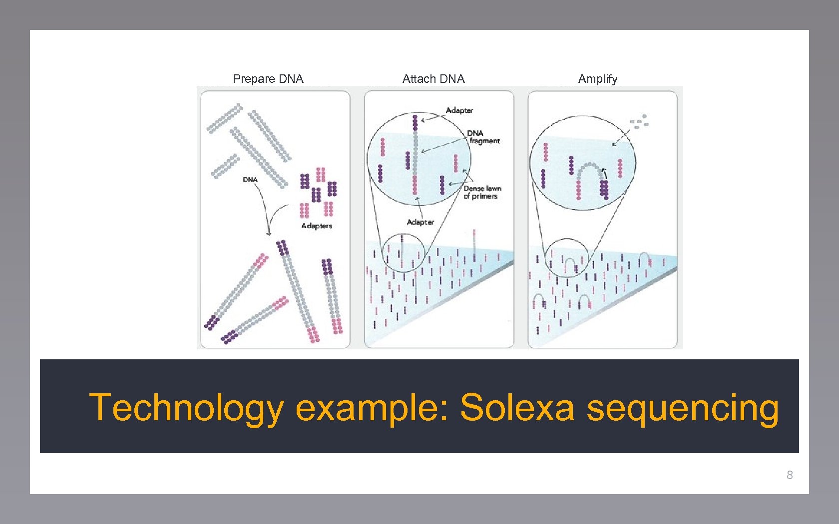 Prepare DNA Attach DNA Amplify Technology example: Solexa sequencing 8 
