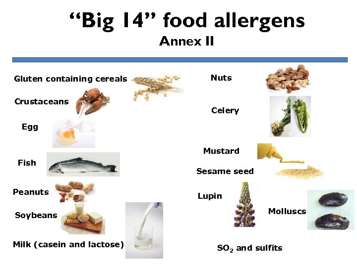 “Big 14” food allergens Annex II Gluten containing cereals Crustaceans Nuts Celery Egg Mustard