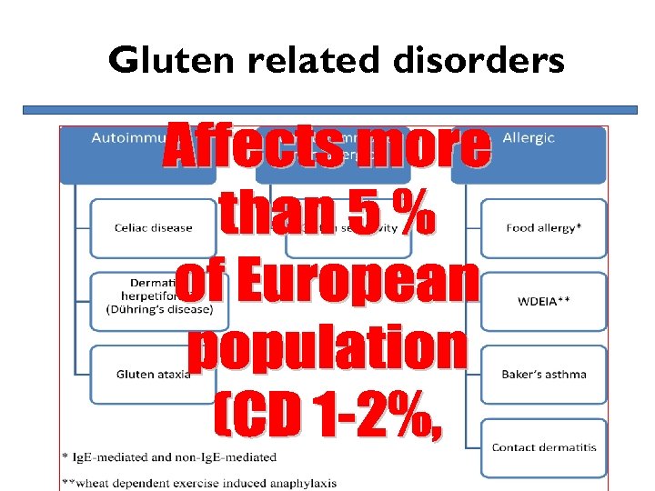 Gluten related disorders 