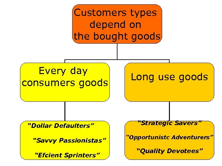 Customers types depend on the bought goods Every day consumers goods “Dollar Defaulters” “Savvy