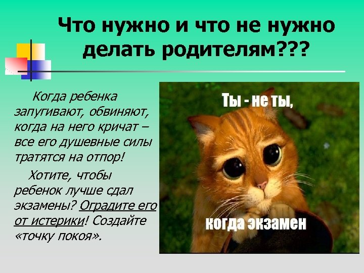 Что нужно и что не нужно делать родителям? ? ? Когда ребенка запугивают, обвиняют,