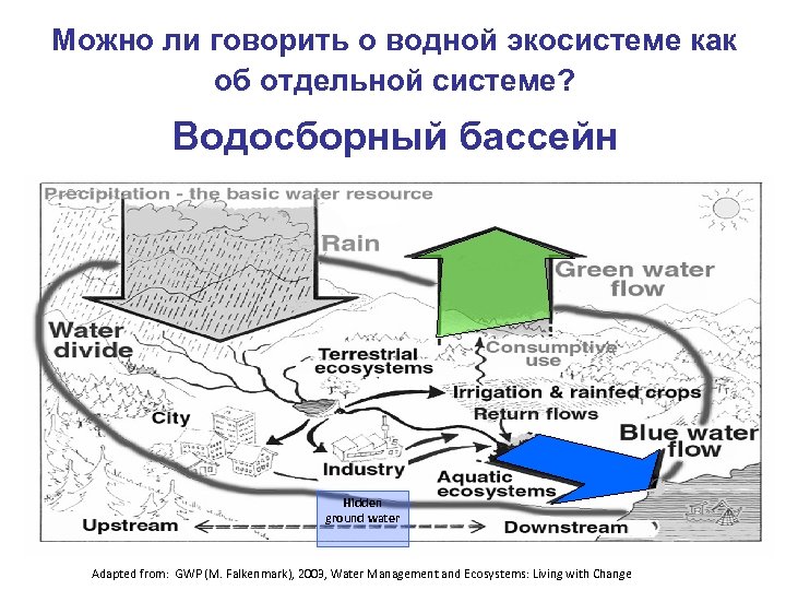 Водосборный бассейн. Биофизика водных экосистем. Лог водосборного бассейна. Что такое водосборный бассейн простыми словами. Как определить водосборную площадь водных объектов.