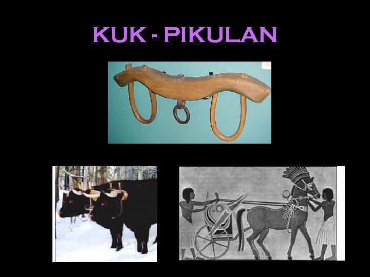KUK - PIKULAN 