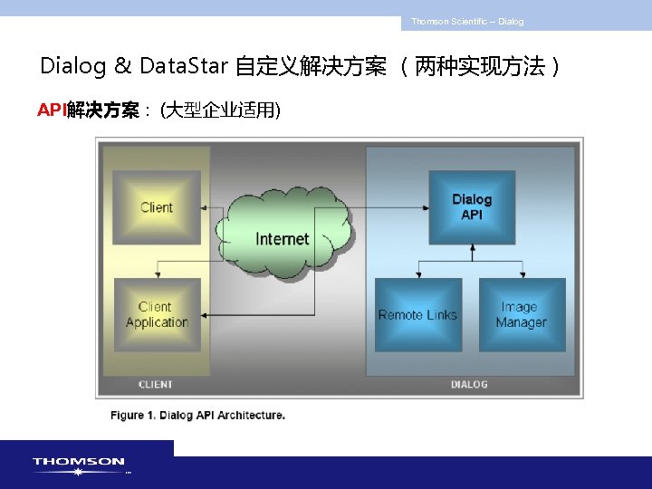 Thomson Scientific -- Dialog & Data. Star 自定义解决方案 （两种实现方法） API解决方案 : (大型企业适用) 