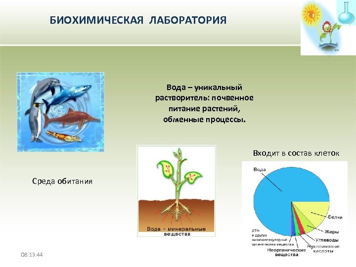 БИОХИМИЧЕСКАЯ ЛАБОРАТОРИЯ Вода – уникальный растворитель: почвенное питание растений, обменные процессы. Входит в состав