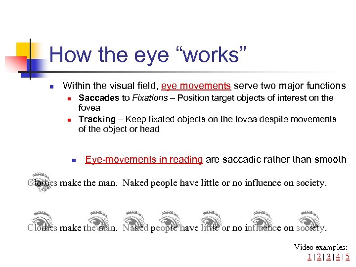 How the eye “works” n Within the visual field, eye movements serve two major