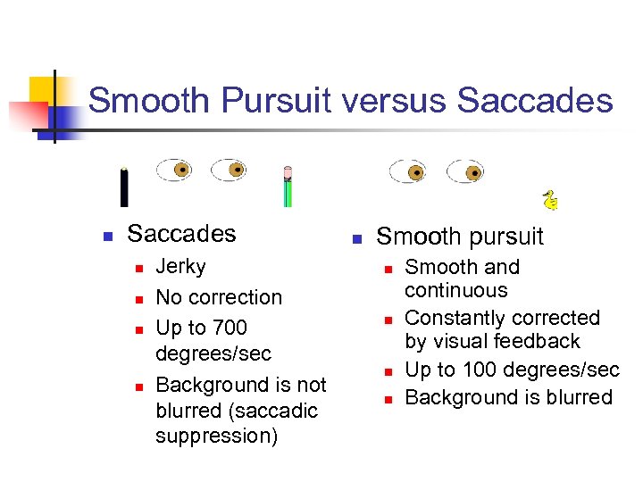 Smooth Pursuit versus Saccades n n n n Jerky No correction Up to 700