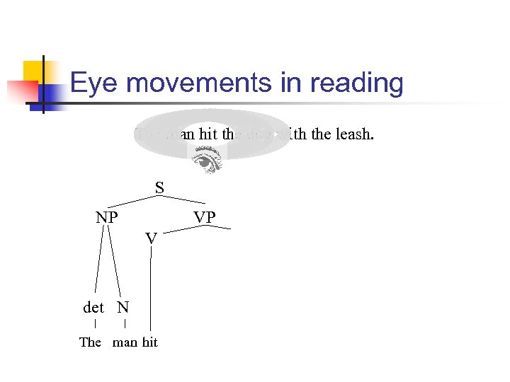 Eye movements in reading The man hit the dog with the leash. S NP