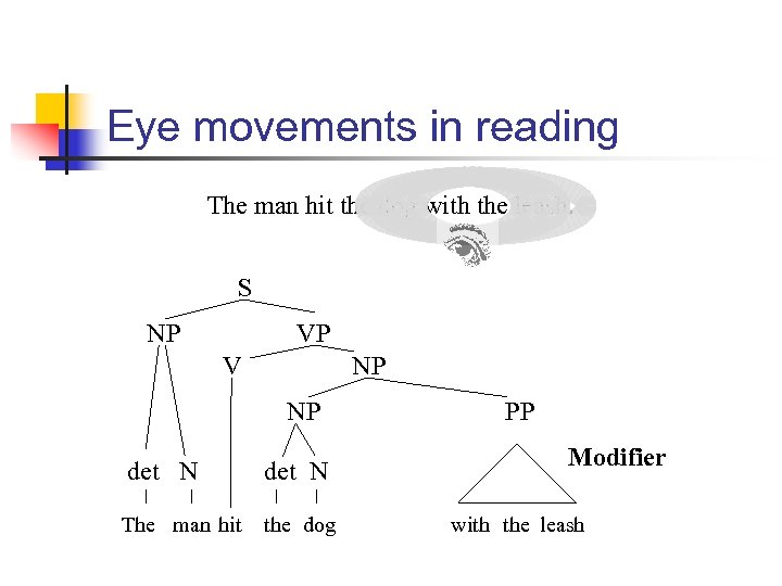 Eye movements in reading The man hit the dog with the leash. S NP