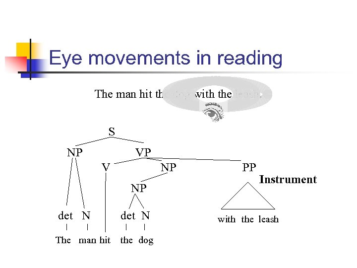 Eye movements in reading The man hit the dog with the leash. S NP