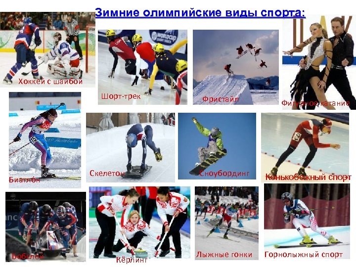Зимние олимпийские виды спорта: Хоккей с шайбой Шорт-трек Биатло н Бобслей Скелетон Кёрлинг Фристайл