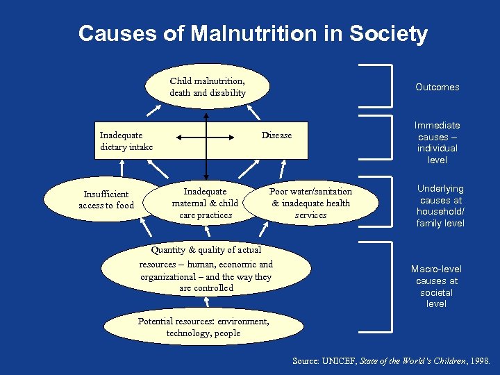 Causes of Malnutrition in Society Child malnutrition, death and disability Inadequate dietary intake Insufficient