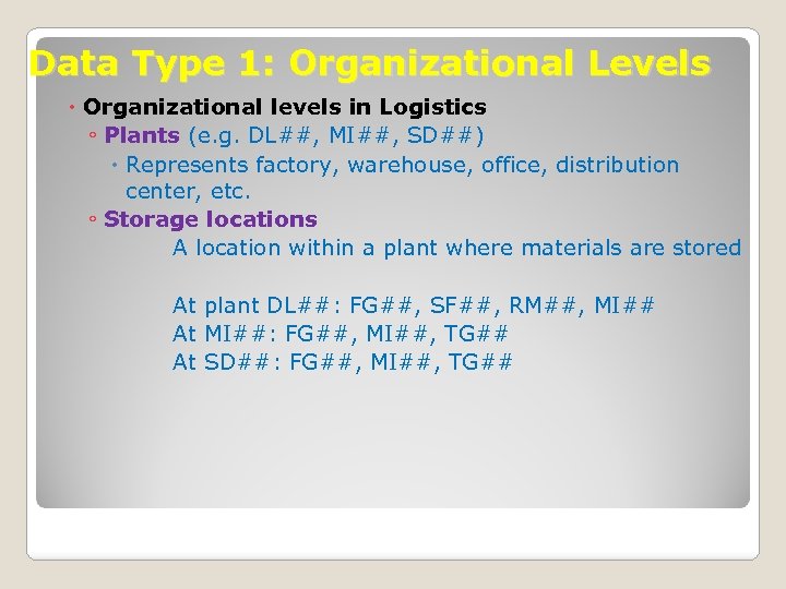 Data Type 1: Organizational Levels Organizational levels in Logistics ◦ Plants (e. g. DL##,