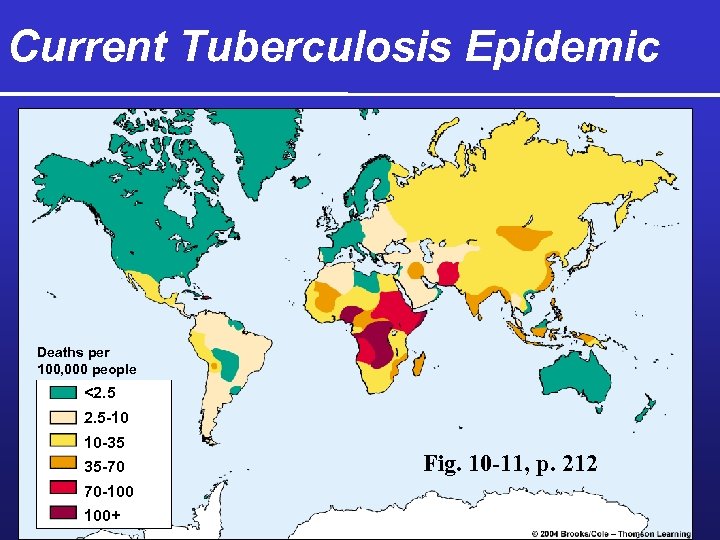Current Tuberculosis Epidemic Deaths per 100, 000 people <2. 5 -10 10 -35 35